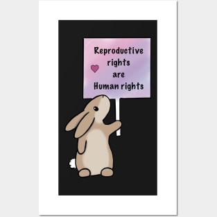 Pro choice bunny Posters and Art